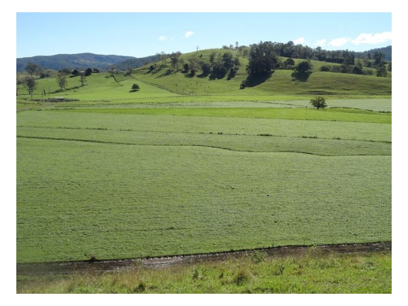 77 Ferndale Road, Kyogle NSW 2474