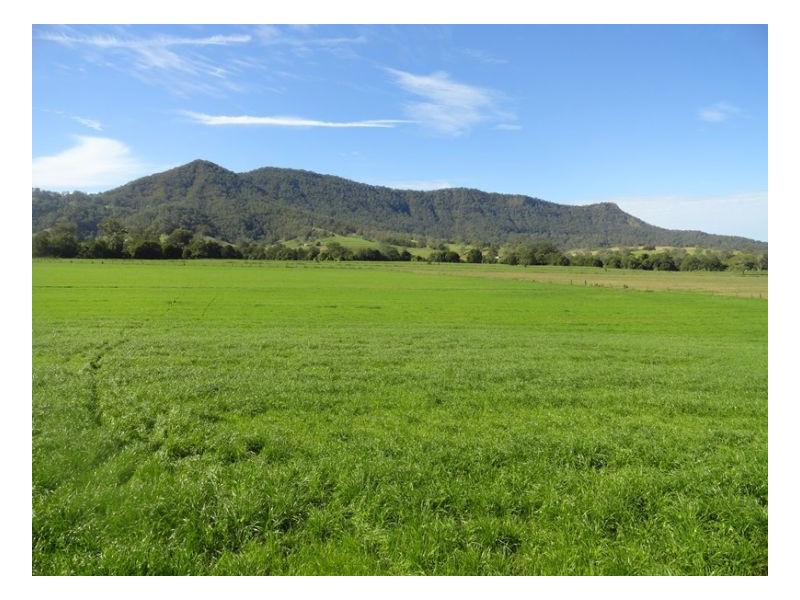 77 Ferndale Road, Kyogle NSW 2474