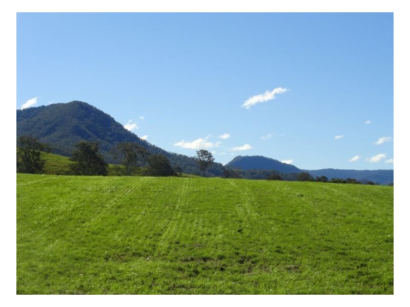 77 Ferndale Road, Kyogle NSW 2474