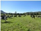 77 Ferndale Road, Kyogle NSW 2474