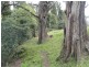 1 Wyndham Road, Kyogle NSW 2474