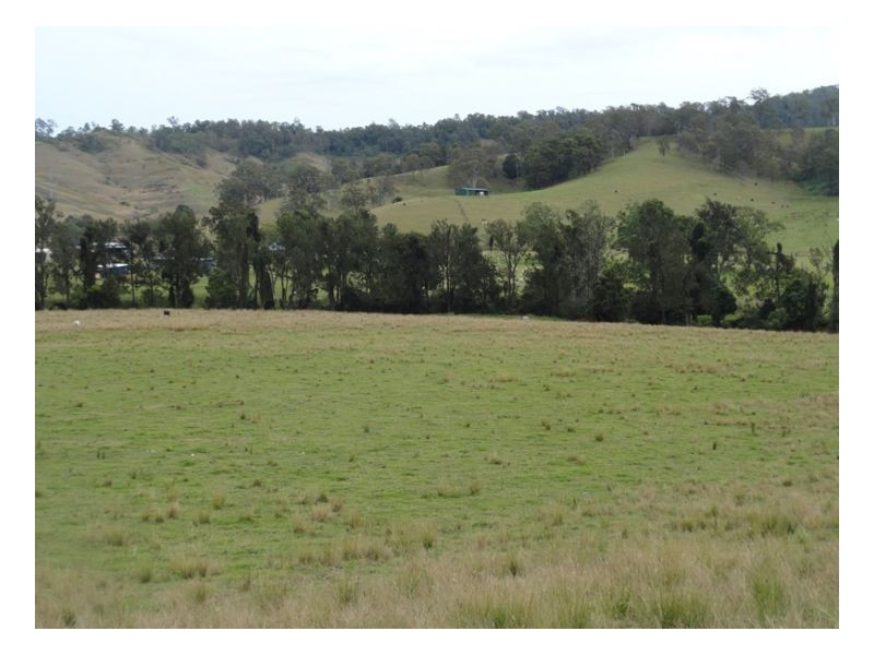 1 Wyndham Road, Kyogle NSW 2474