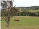 1 Wyndham Road, Kyogle NSW 2474