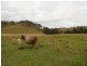 1 Wyndham Road, Kyogle NSW 2474