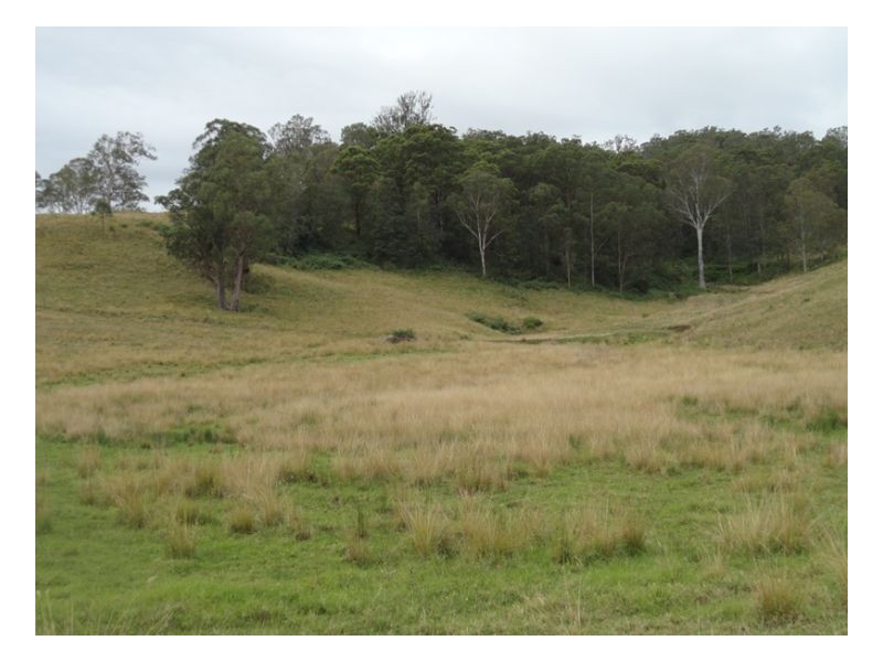 1 Wyndham Road, Kyogle NSW 2474