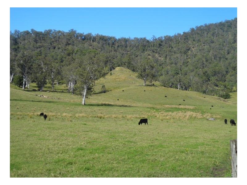 222 Rosbeberry Creek Road, Kyogle NSW 2474