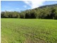 222 Rosbeberry Creek Road, Kyogle NSW 2474