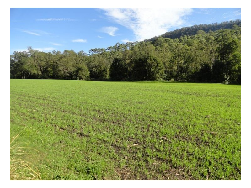222 Rosbeberry Creek Road, Kyogle NSW 2474