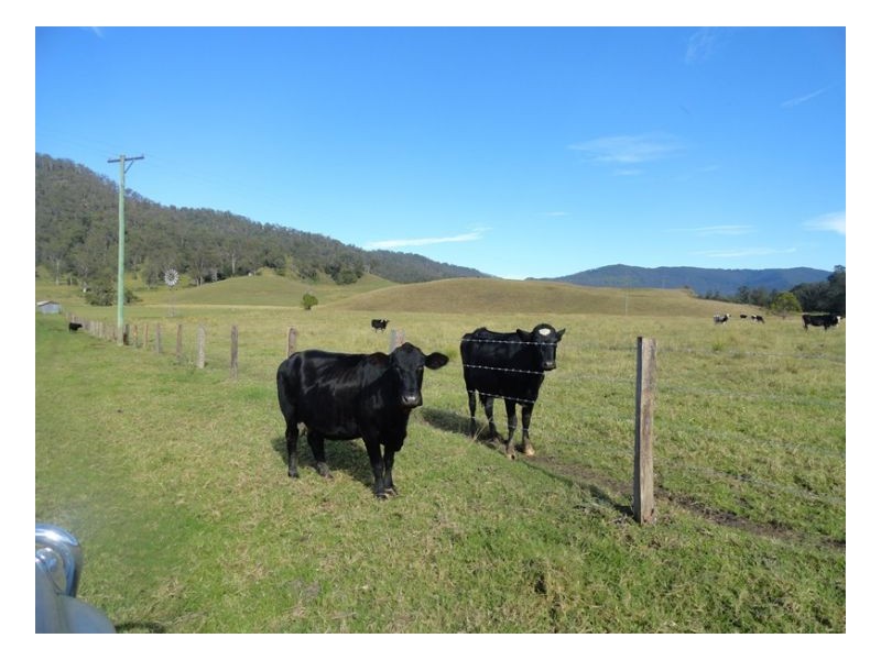 222 Rosbeberry Creek Road, Kyogle NSW 2474