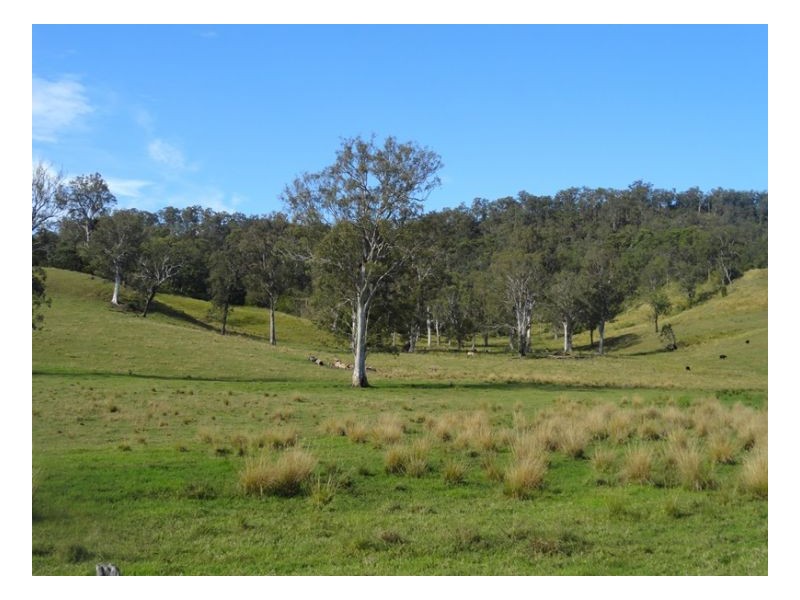 222 Rosbeberry Creek Road, Kyogle NSW 2474