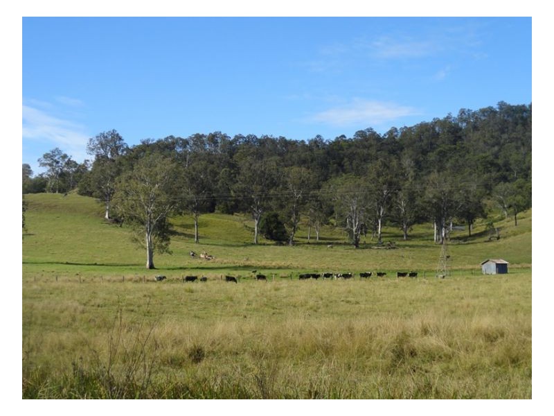 222 Rosbeberry Creek Road, Kyogle NSW 2474