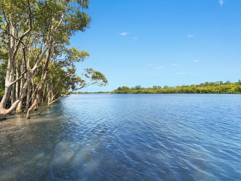 95 Riverbank Road, Pimlico NSW 2478