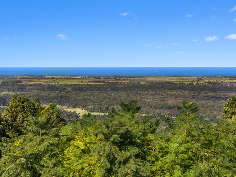 101 Buckombil Mountain Road, Meerschaum Vale NSW 2477