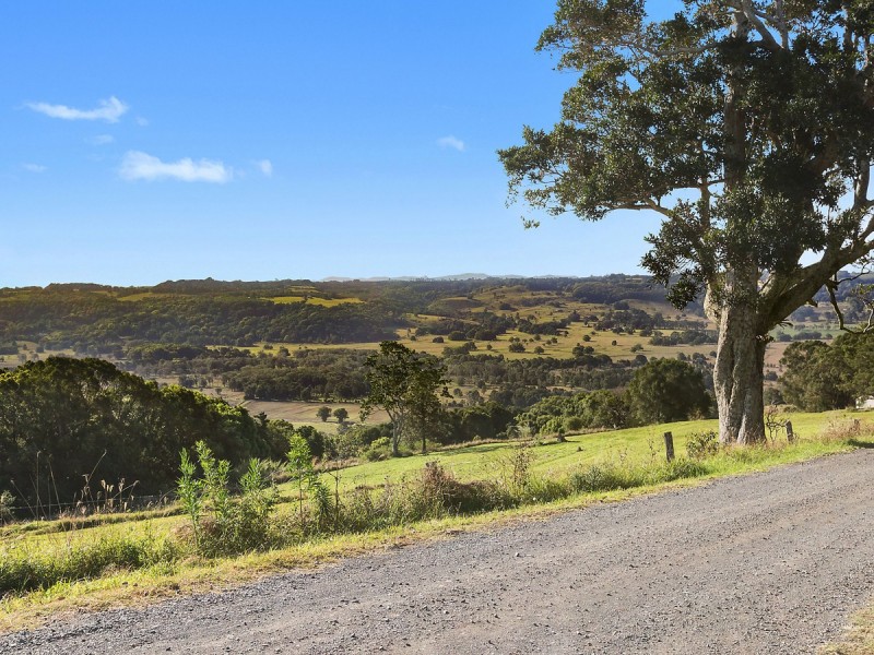 101 Buckombil Mountain Road, Meerschaum Vale NSW 2477