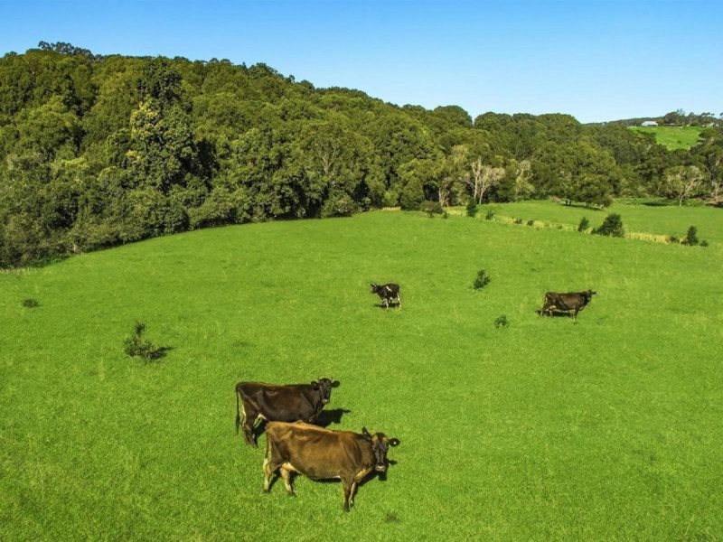 105 Keys Road, Coorabell NSW 2479