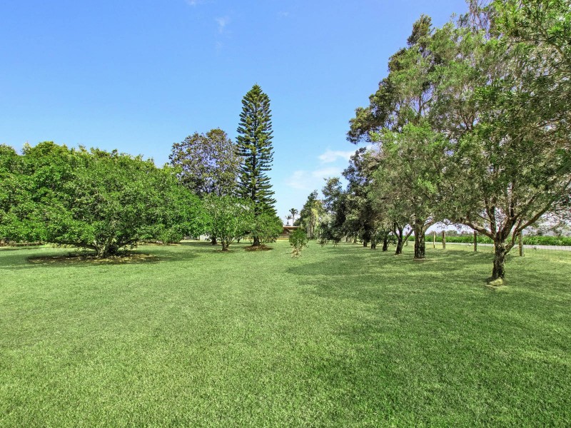 417 Pimlico Road, Pimlico NSW 2478