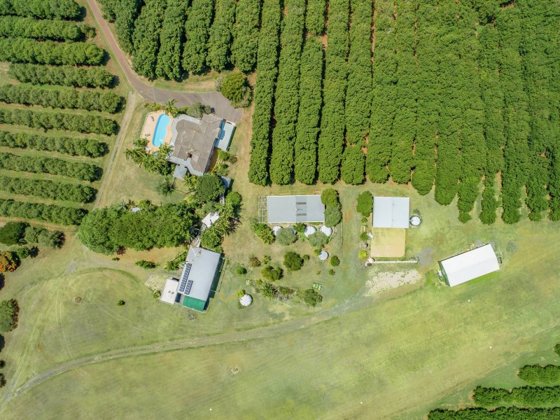 Pearces Creek NSW 2477
