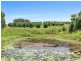 Pearces Creek NSW 2477