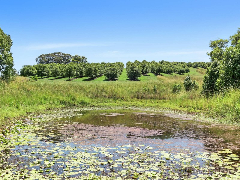 Pearces Creek NSW 2477