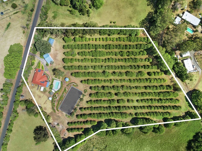 204 McLeans Ridges Road, Mcleans Ridges NSW 2480