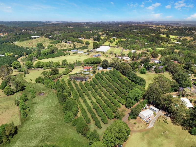 204 McLeans Ridges Road, Mcleans Ridges NSW 2480