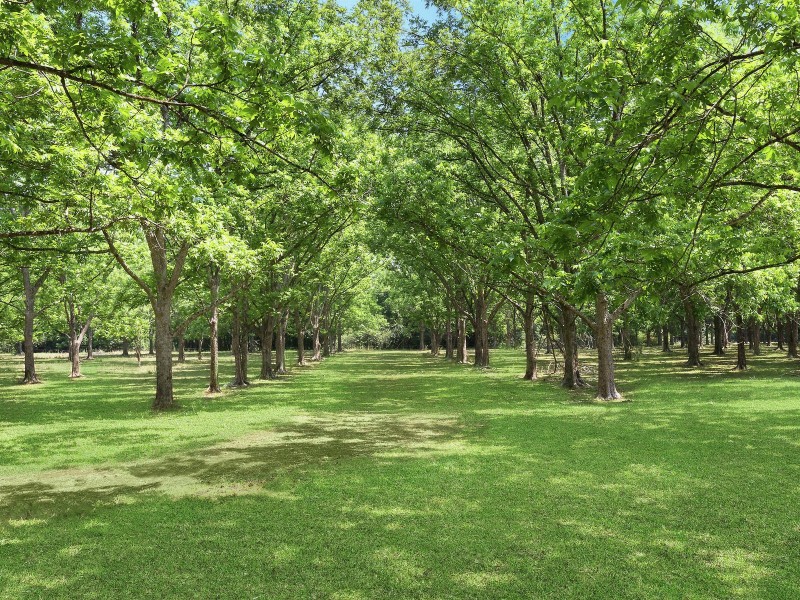 101 Tooheys Mill Road, Pearces Creek NSW 2477