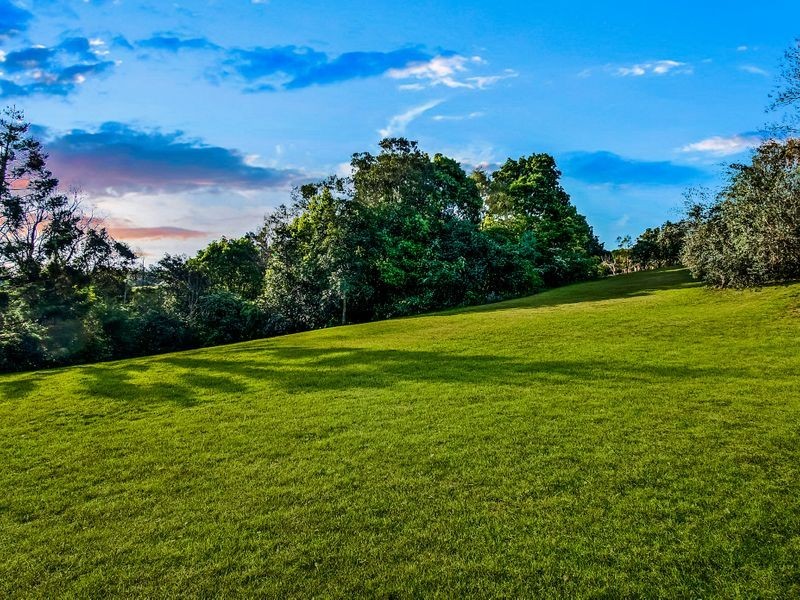 48 WILLOWBANK DRIVE, Alstonvale NSW 2477