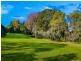 48 WILLOWBANK DRIVE, Alstonvale NSW 2477