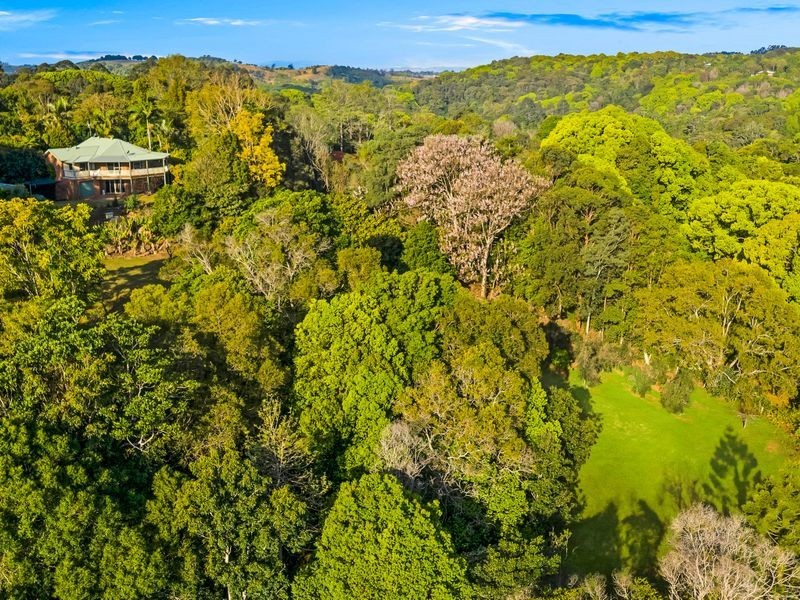 48 WILLOWBANK DRIVE, Alstonvale NSW 2477