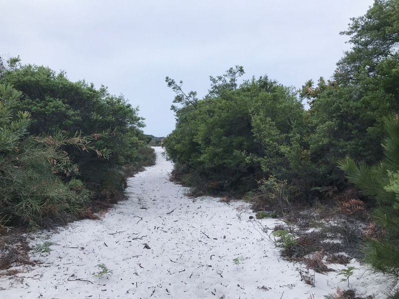 Lot 1711 South Ballina Beach Road, South Ballina NSW 2478