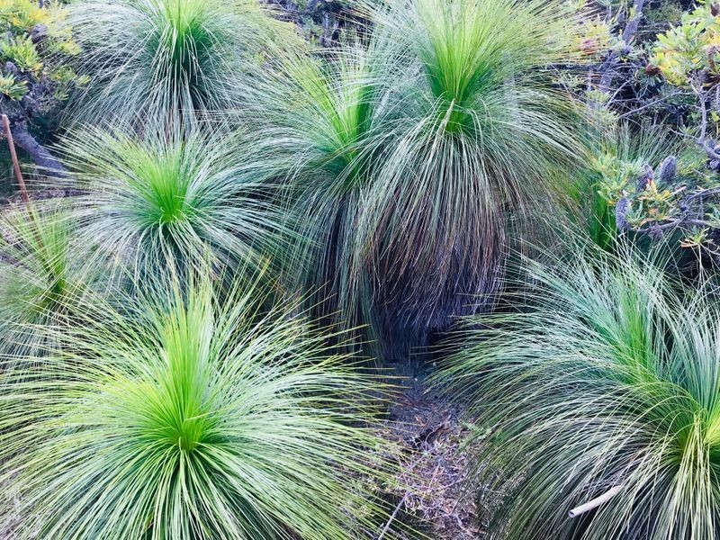 Lot 1711 South Ballina Beach Road, South Ballina NSW 2478