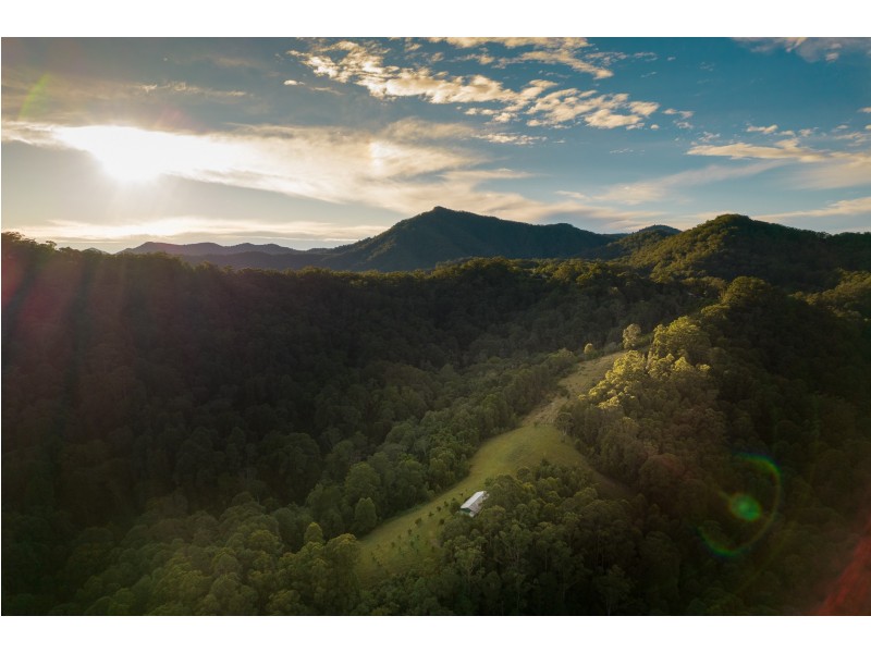 631 Rowlands Creek Road, Rowlands Creek NSW 2484