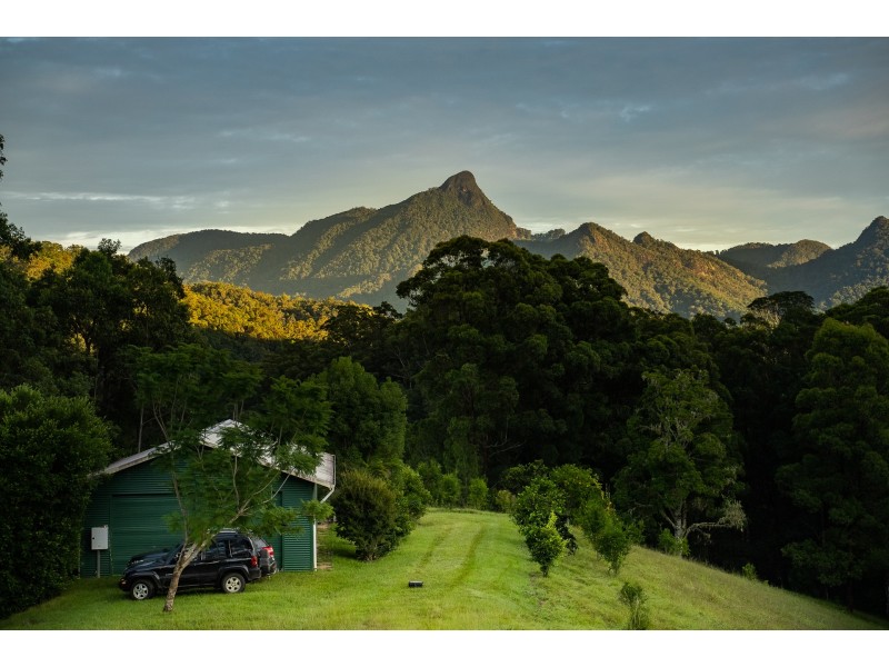 631 Rowlands Creek Road, Rowlands Creek NSW 2484