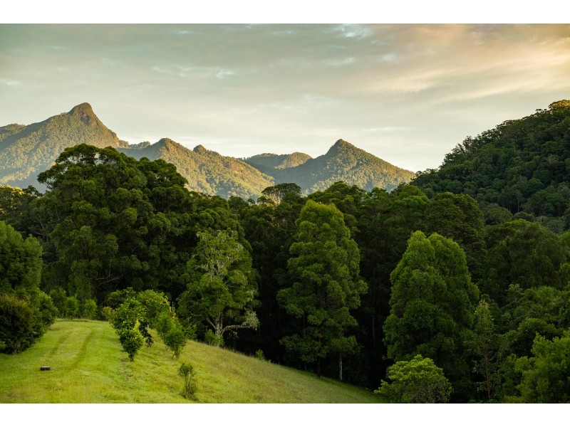 631 Rowlands Creek Road, Rowlands Creek NSW 2484