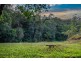 631 Rowlands Creek Road, Rowlands Creek NSW 2484