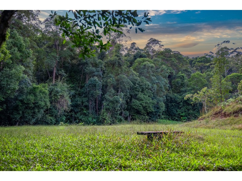 631 Rowlands Creek Road, Rowlands Creek NSW 2484