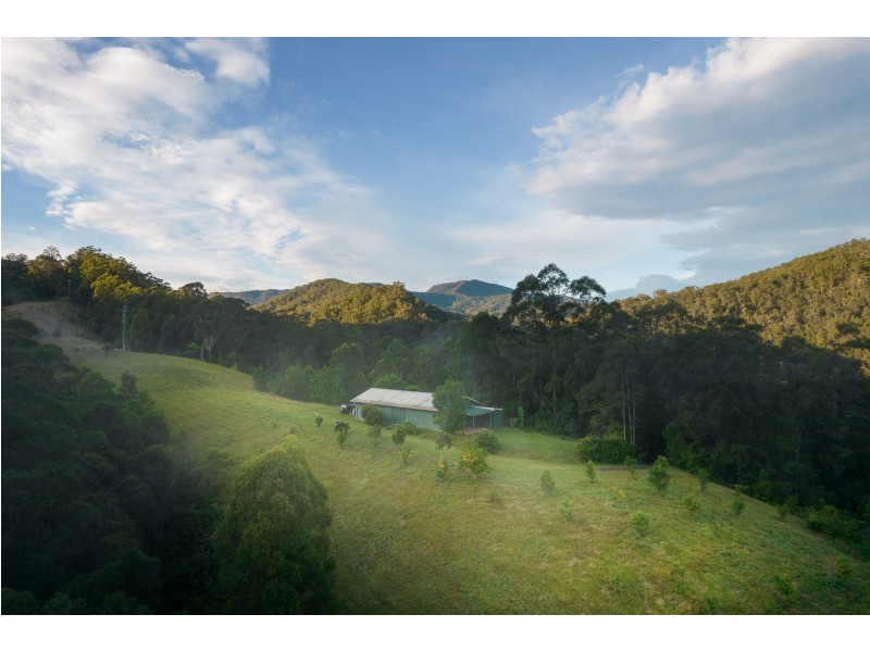 631 Rowlands Creek Road, Rowlands Creek NSW 2484
