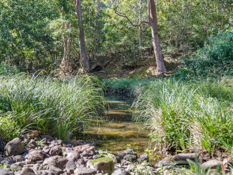 631 Rowlands Creek Road, Rowlands Creek NSW 2484