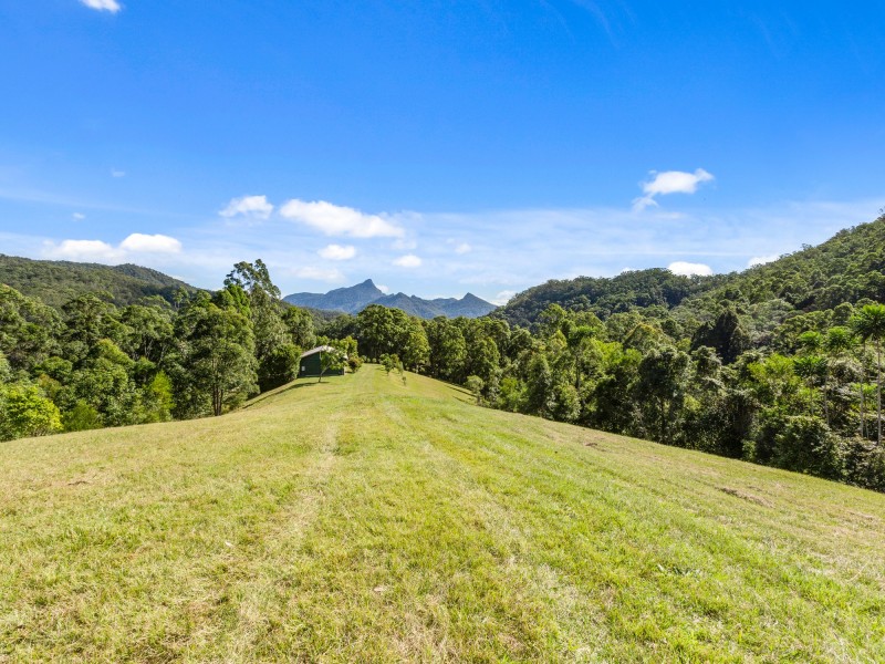 631 Rowlands Creek Road, Rowlands Creek NSW 2484