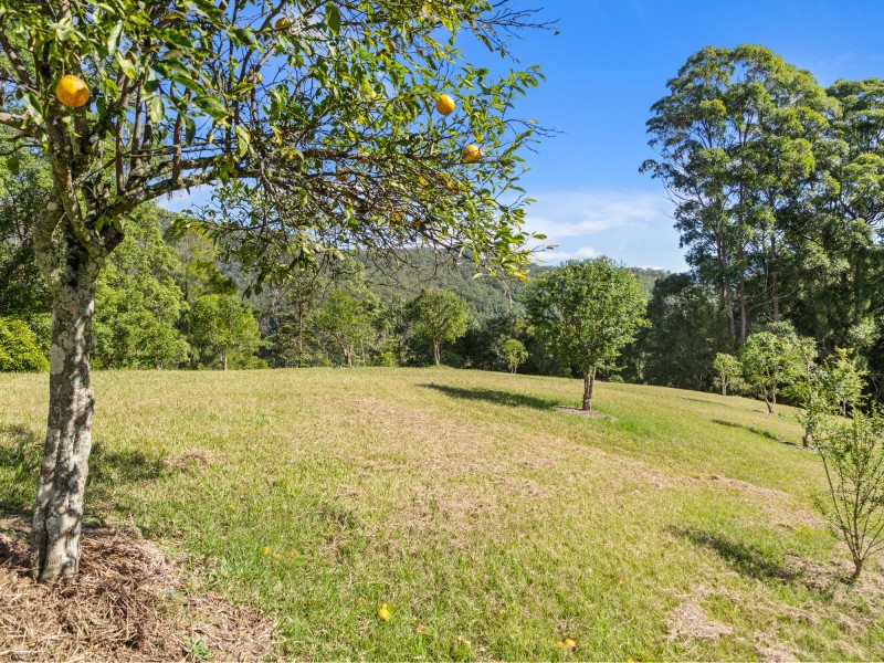 631 Rowlands Creek Road, Rowlands Creek NSW 2484