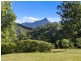 631 Rowlands Creek Road, Rowlands Creek NSW 2484