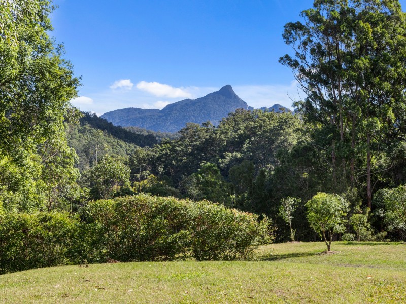 631 Rowlands Creek Road, Rowlands Creek NSW 2484