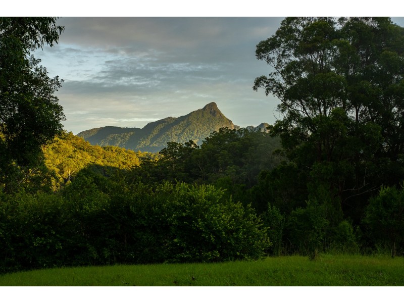 631 Rowlands Creek Road, Rowlands Creek NSW 2484