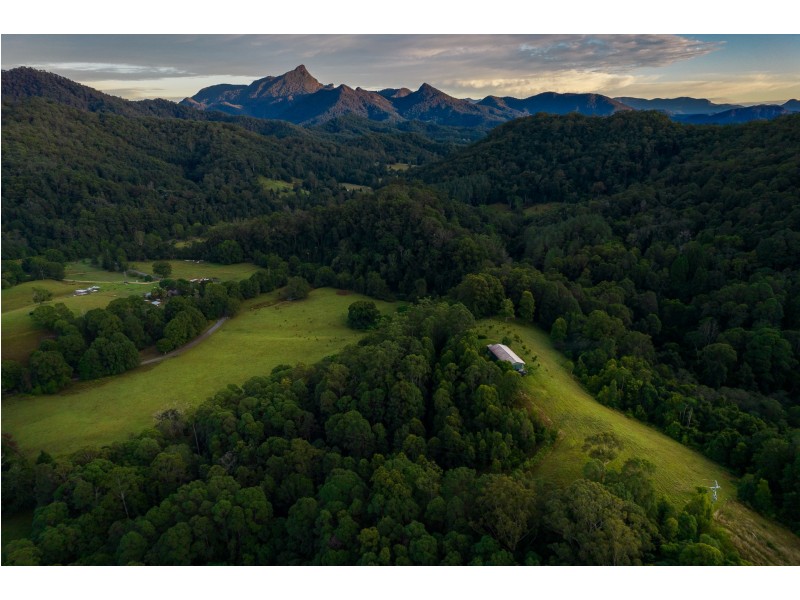 631 Rowlands Creek Road, Rowlands Creek NSW 2484