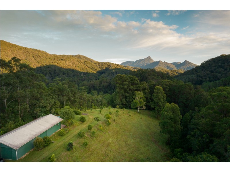 631 Rowlands Creek Road, Rowlands Creek NSW 2484