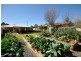 10 Bowden Court, Darling Heights QLD 4350