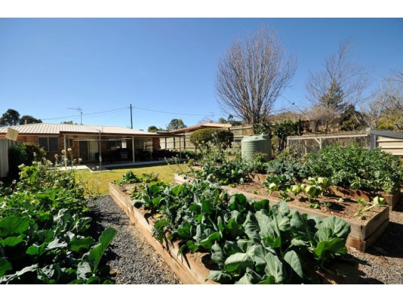 10 Bowden Court, Darling Heights QLD 4350