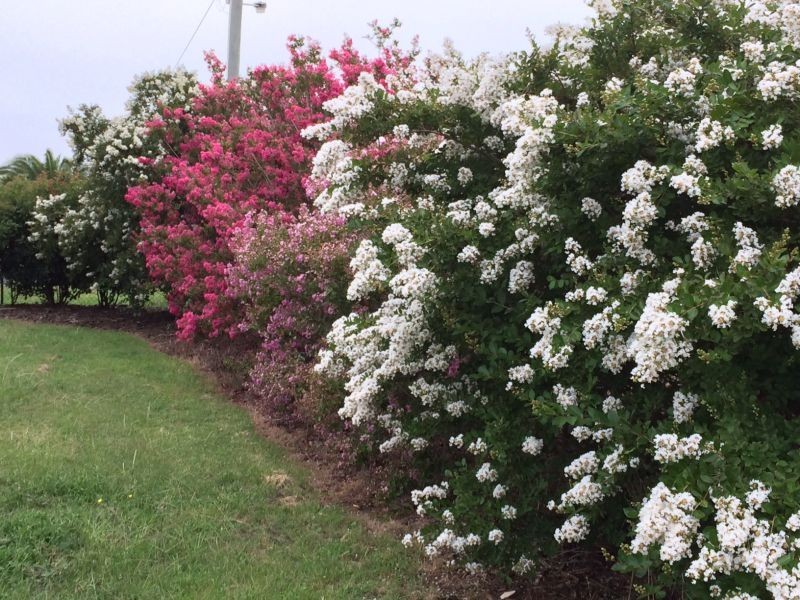 7 Mansel Drive, Gowrie Junction QLD 4352