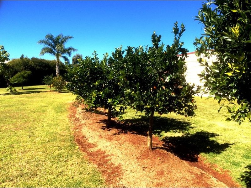 5 Cole Drive, Highfields QLD 4352