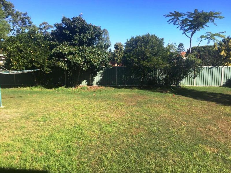 14 Young Street, Pittsworth QLD 4356